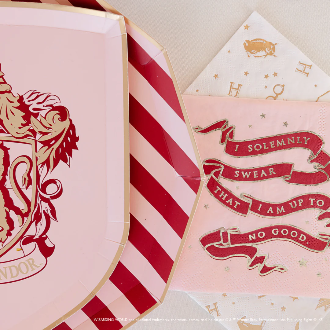 Servilleta Hogwarts House Pride, 24 Uds