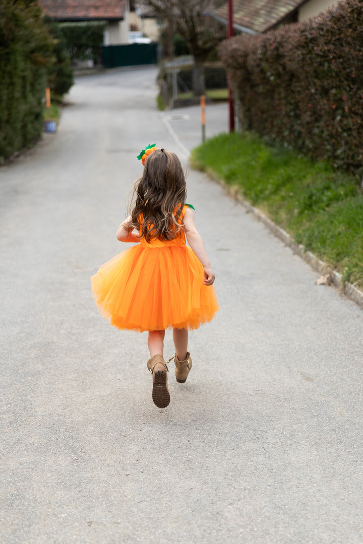 Vestido de Princesa de Calabaza