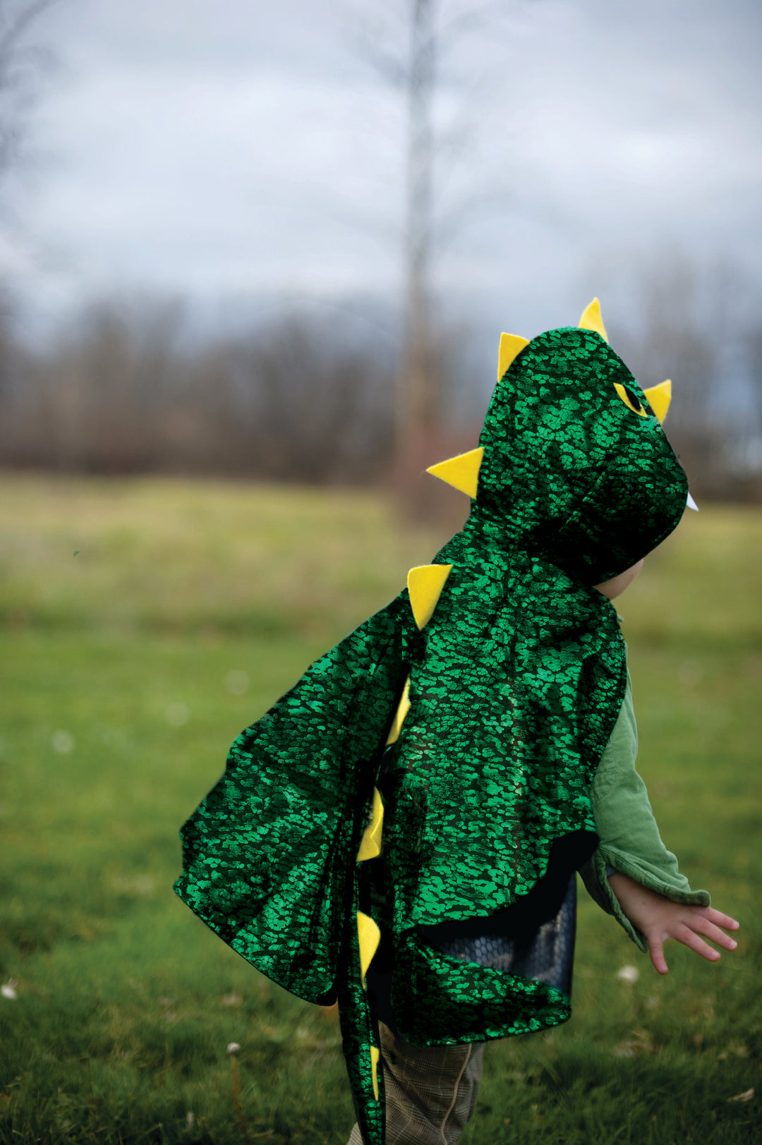 Capa Dragón Verde Metálico Infante