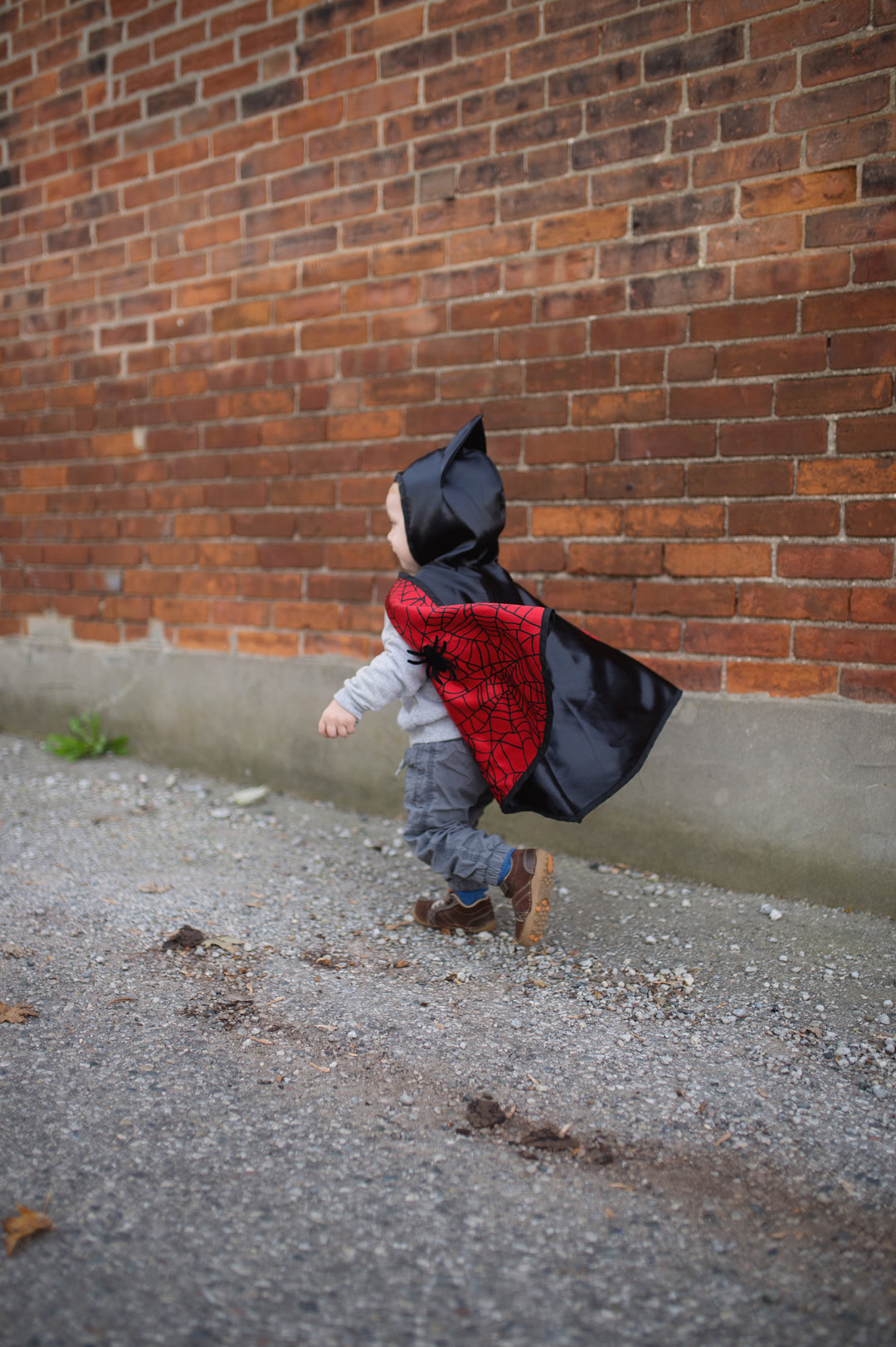 Capa Reversible Spider Bat