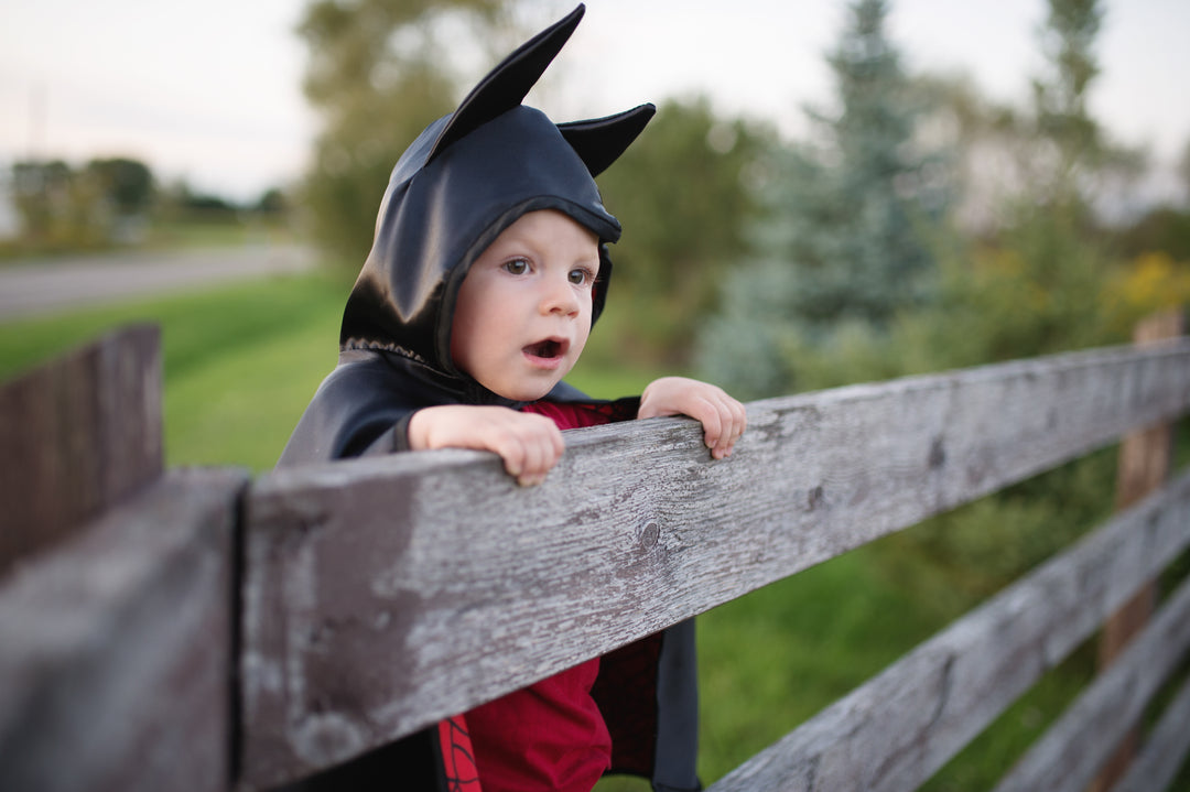Capa Reversible Spider Bat