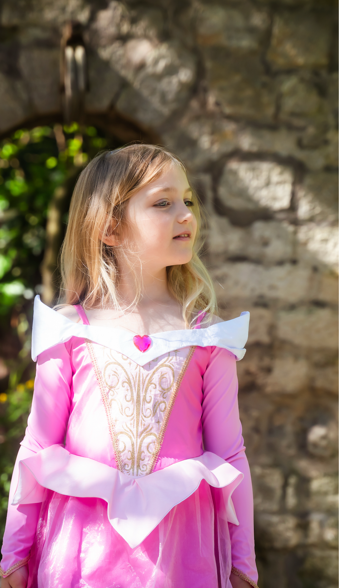 Vestido de Princesa Bella Durmiente