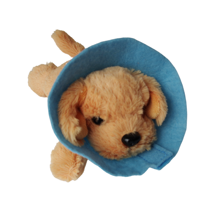 Set Disfraz de Veterinario con Accesorios, 7 Uds