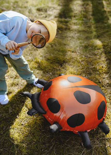 Globo Foil XL Ladybug 66X64.5 cm