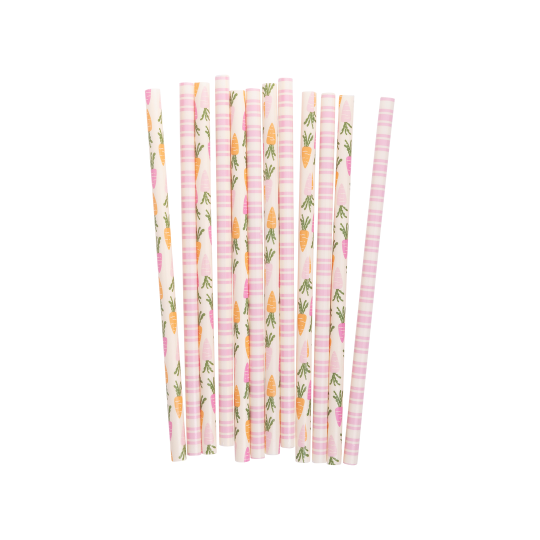 Pajillas de Zanahorias, 12 Uds