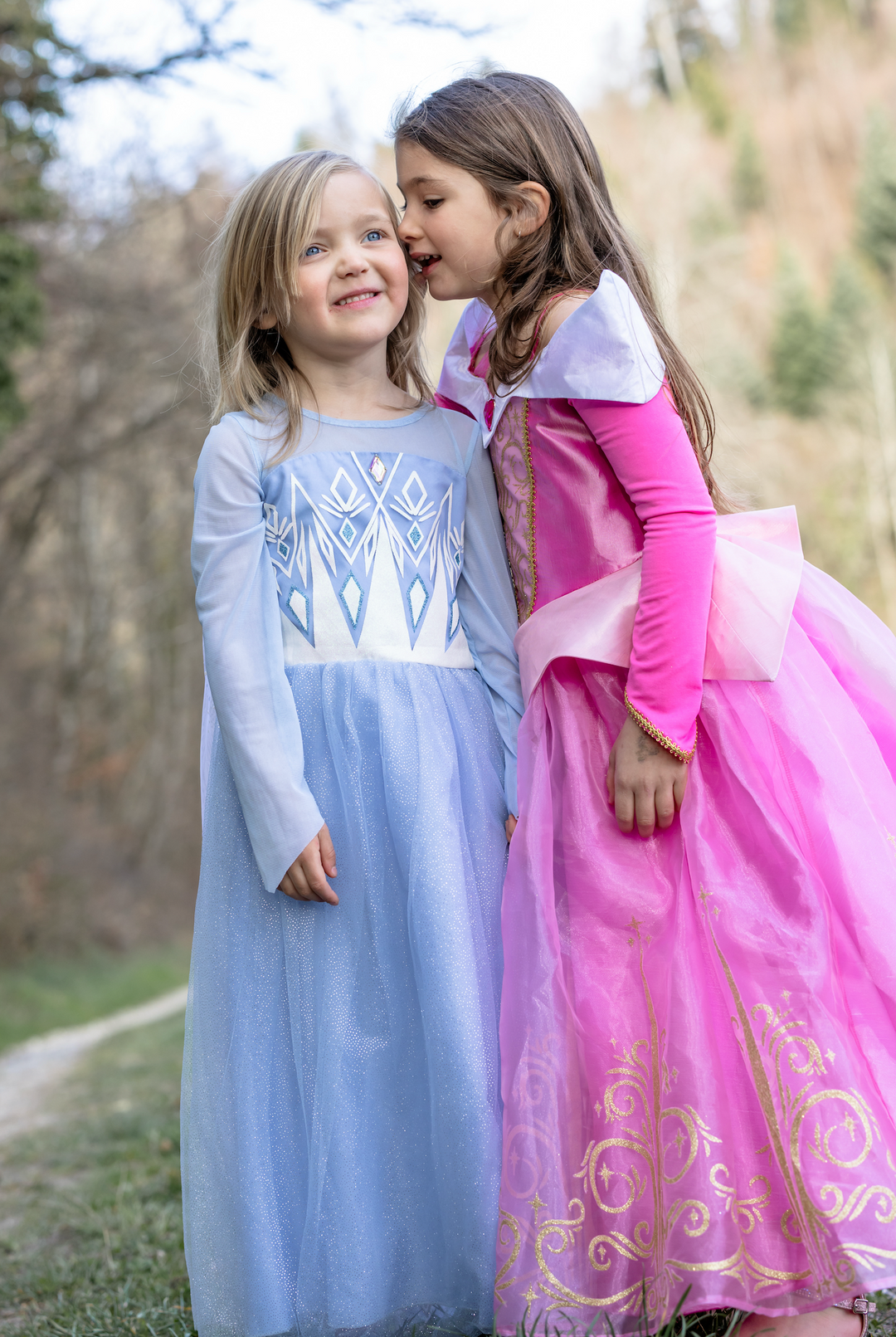 Vestido de Princesa Bella Durmiente