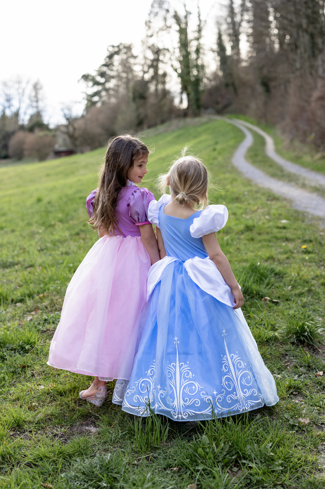 Vestido de Princesa Cenicienta